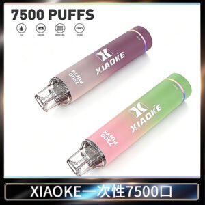 XIAOKE梟客7500Puffs跑馬燈拋棄式電子煙 可發光一次性